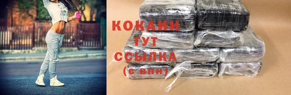 кокс Белокуриха