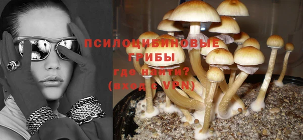 кокс Белокуриха