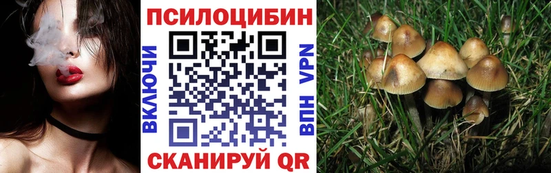 Галлюциногенные грибы мухоморы  Нерехта 